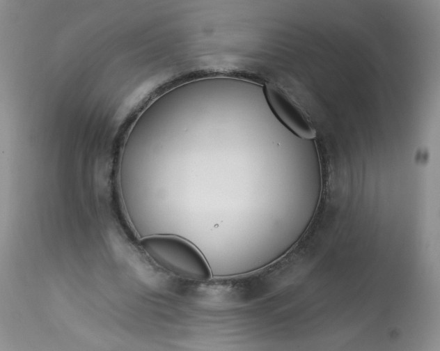 X0000113560440200910091418