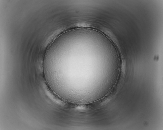 X0000113560441200910091418