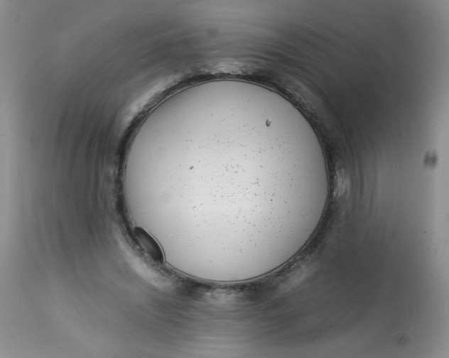 X0000113560444200910091418