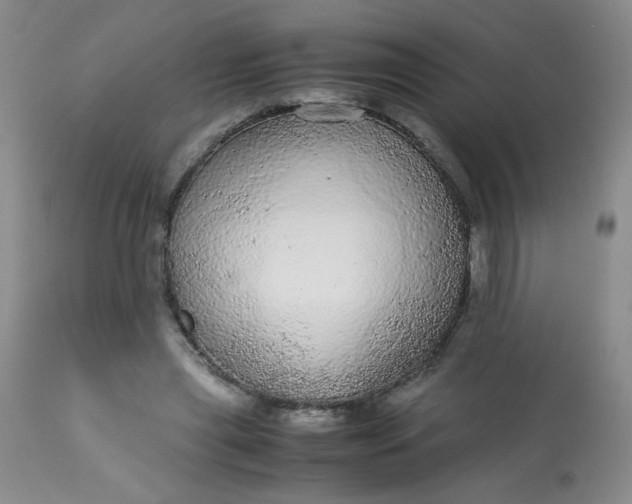 X0000113560445200910091418