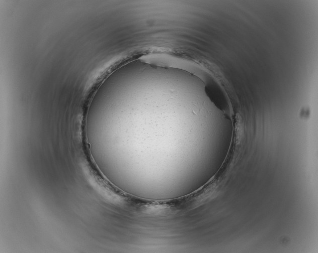 X0000113560446200910091418