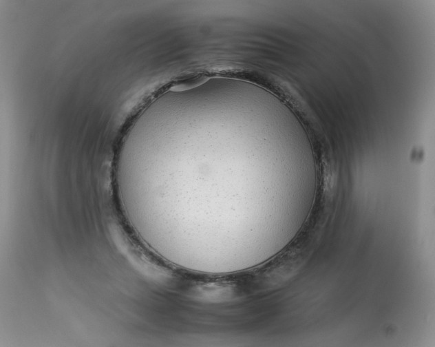 X0000113560447200910091418