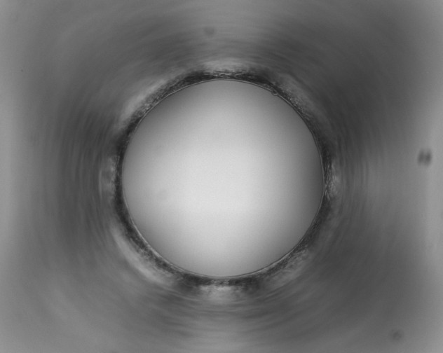 X0000113560448200910091418
