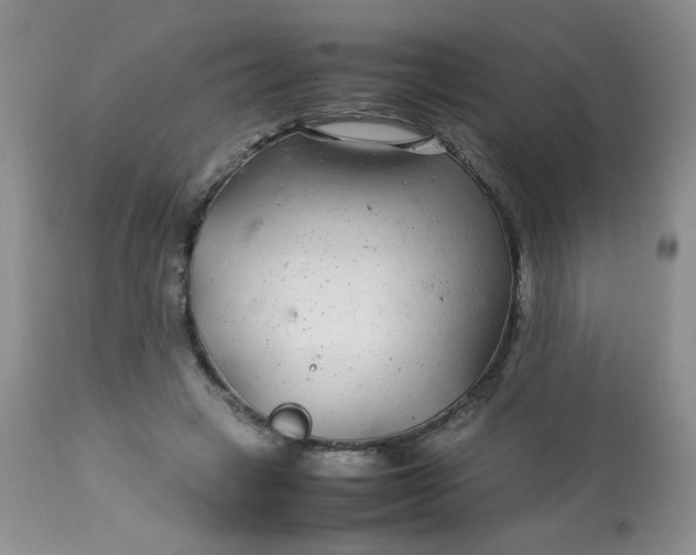 X0000113560449200910091418