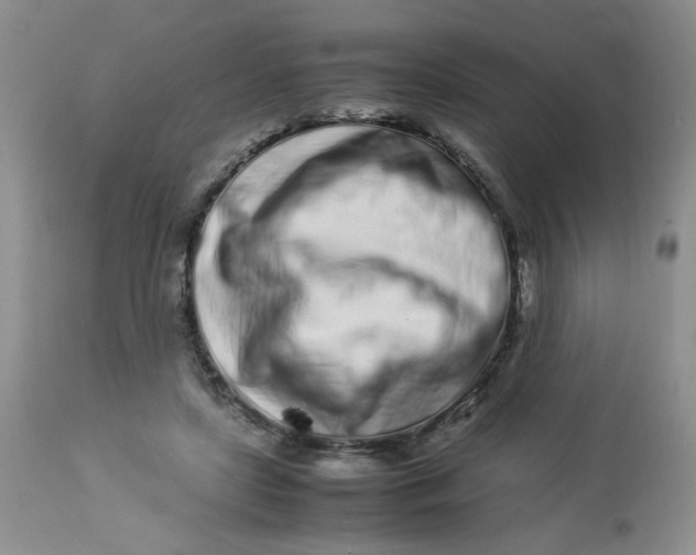 X0000113560451200910091418