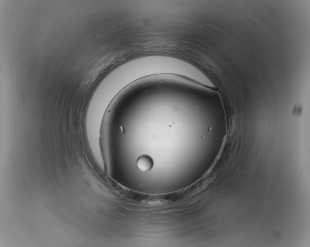 X0000113560452200910091418