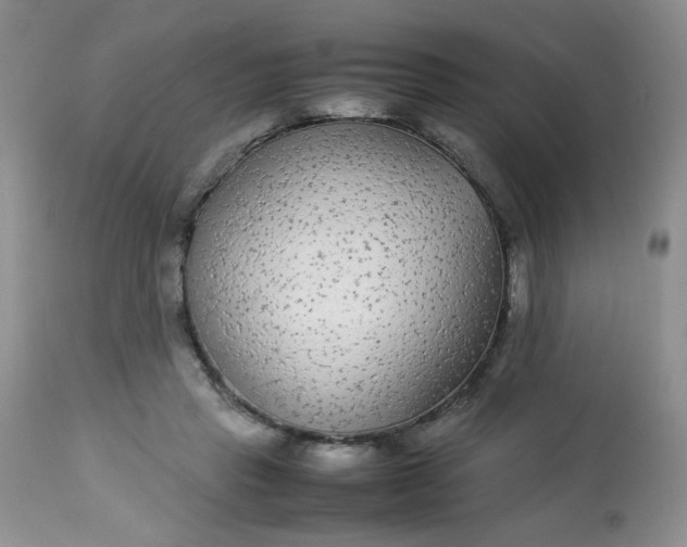 X0000113560453200910091418