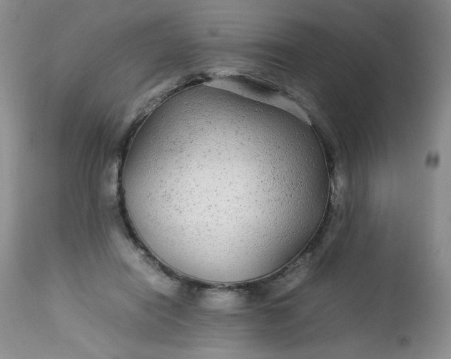 X0000113560454200910091418