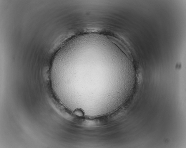 X0000113560455200910091418