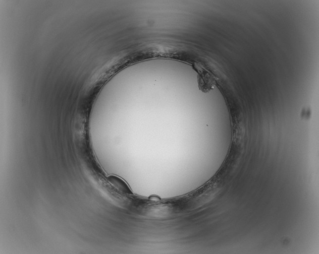 X0000113560456200910091418