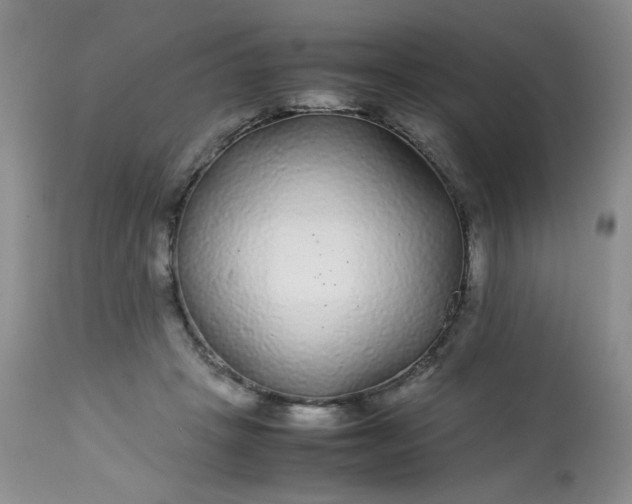 X0000113560457200910091418