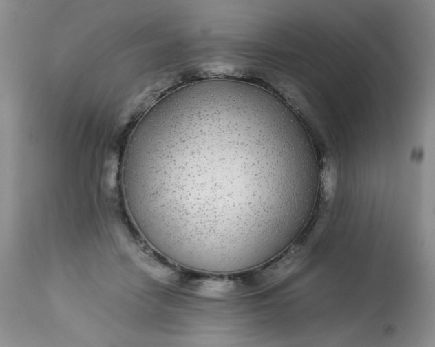 X0000113560458200910091419