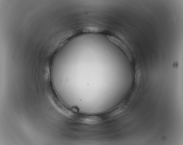 X0000113560459200910091419