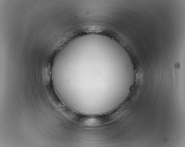 X0000113560460200910091419