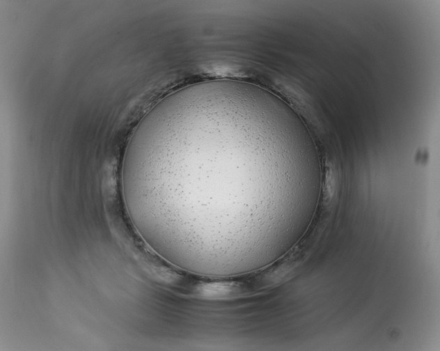 X0000113560461200910091419