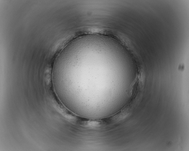 X0000113560462200910091419