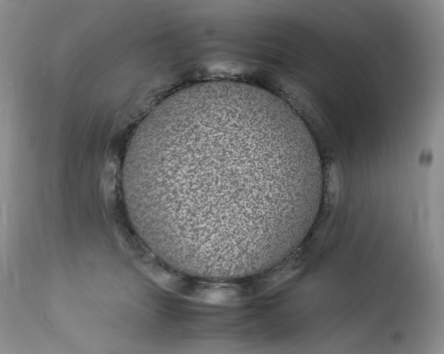 X0000113560463200910091419