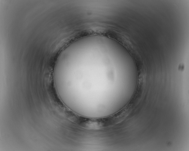 X0000113560464200910091419