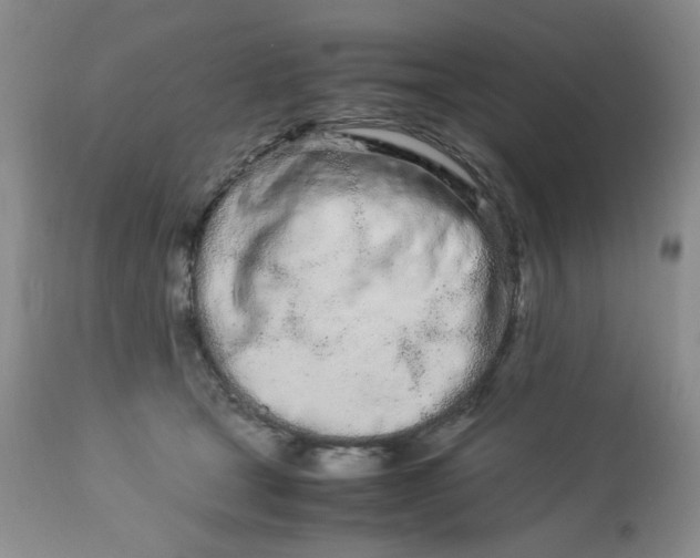 X0000113560465200910091419