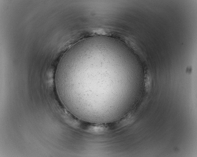 X0000113560466200910091419