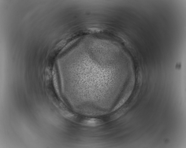 X0000113560467200910091419