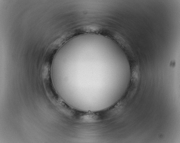 X0000113560468200910091419