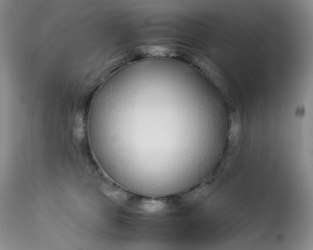 X0000113560469200910091419