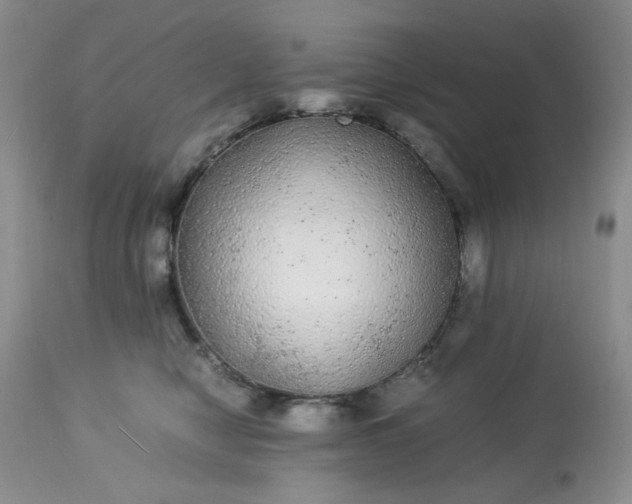 X0000113560470200910091419