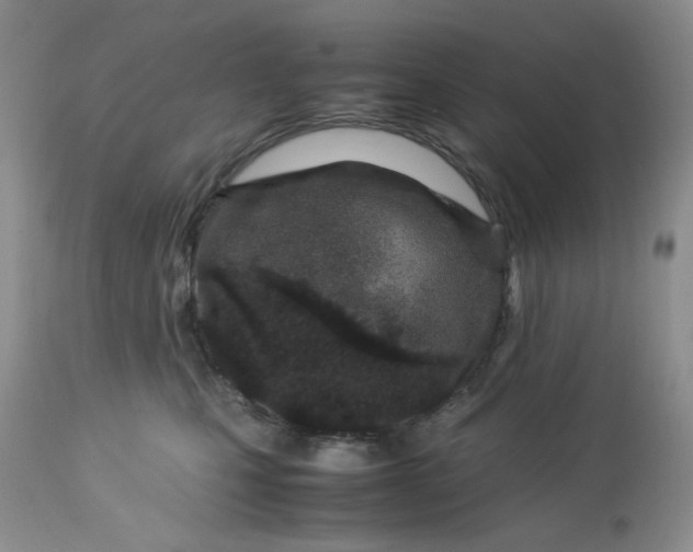 X0000113560471200910091419