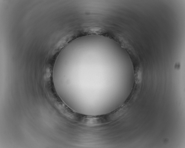 X0000113560472200910091419