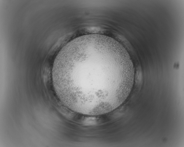 X0000113560473200910091419