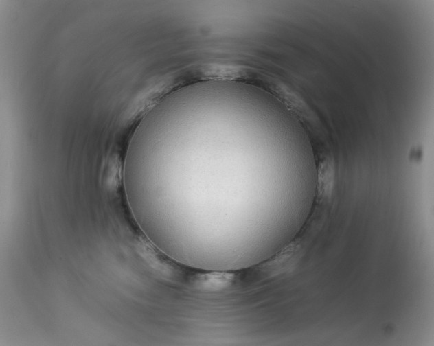 X0000113560474200910091419
