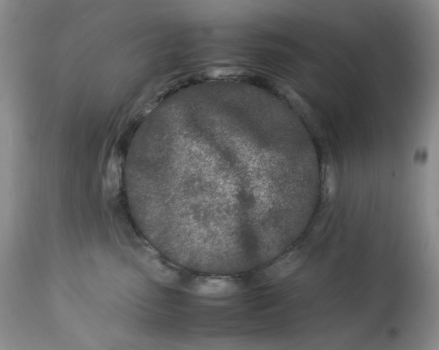 X0000113560475200910091419