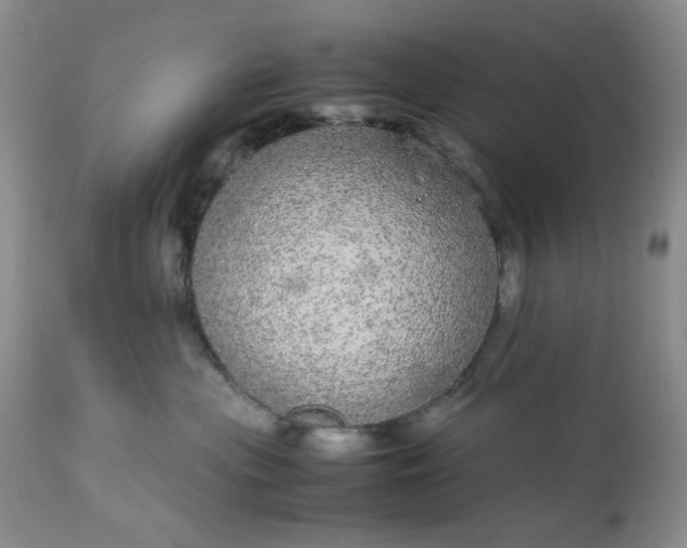 X0000113560477200910091419