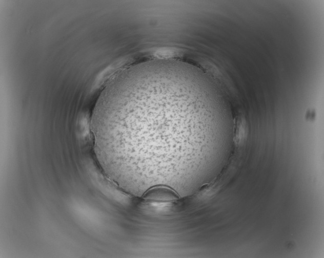 X0000113560478200910091419