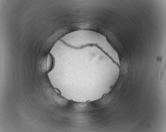 X0000113560479200910091419