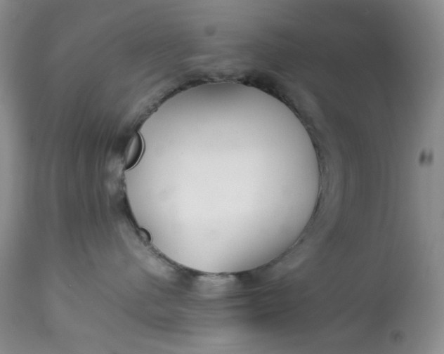 X0000113560480200910091419
