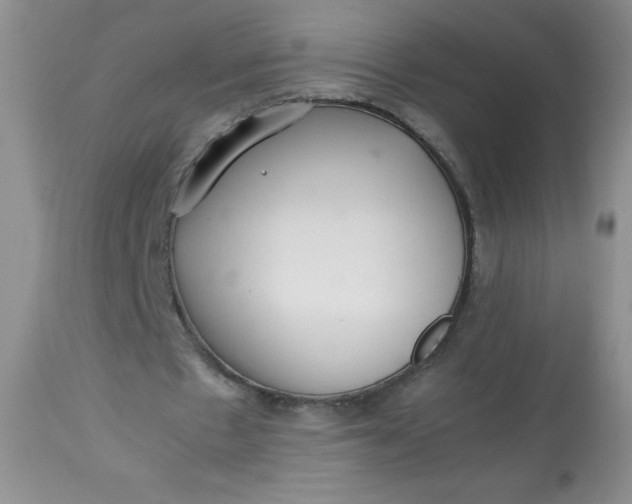 X0000113560481200910091418