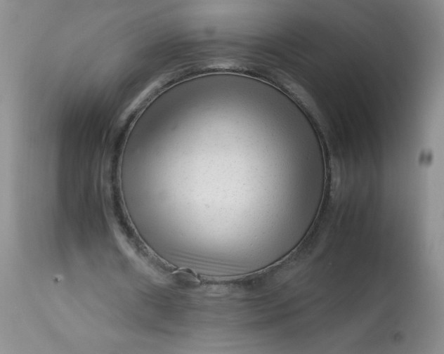 X0000113560482200910091418