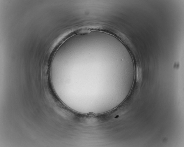 X0000113560483200910091418