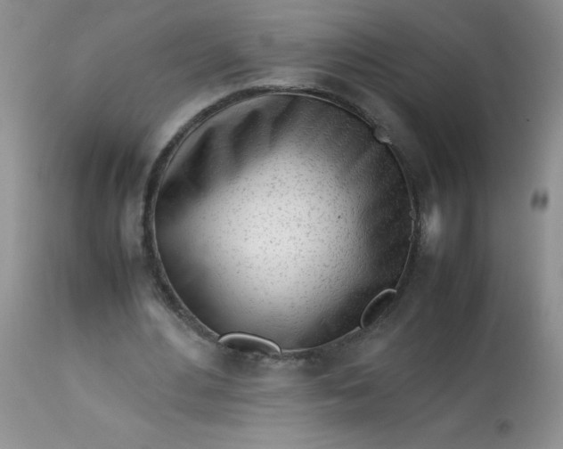 X0000113560484200910091418