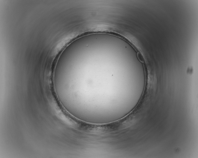X0000113560485200910091418