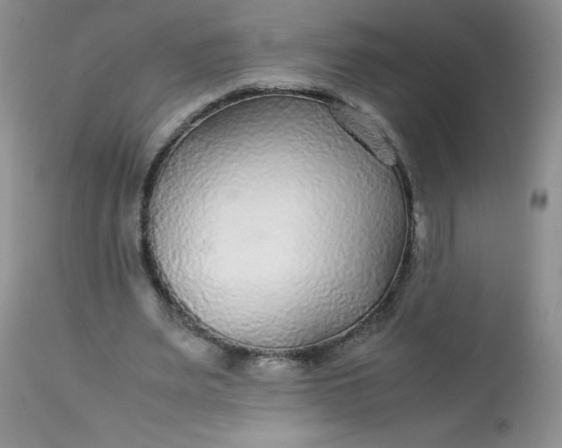 X0000113560487200910091418