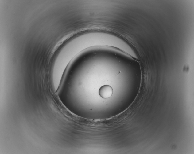 X0000113560488200910091418