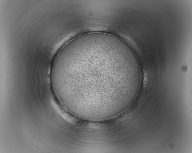X0000113560490200910091418