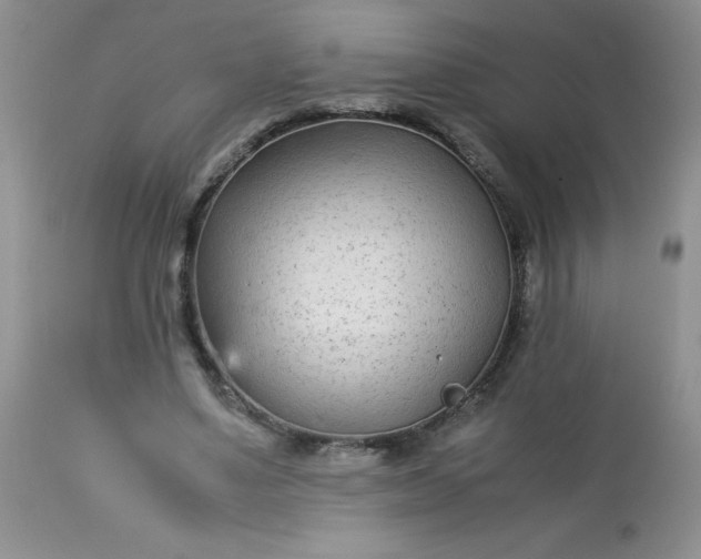 X0000113560491200910091418