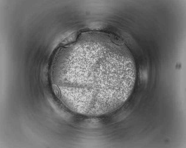 X0000113560492200910091418