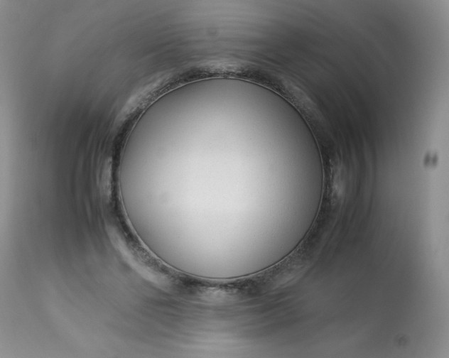 X0000113560494200910091418