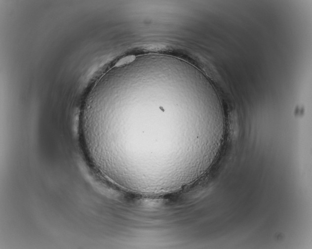 X0000113560495200910091418