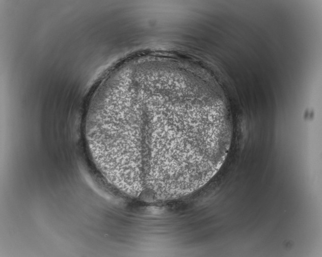 X0000113560496200910091418